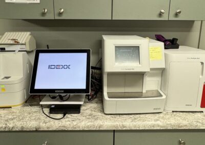 mountain view veterinary clinic interior with equipment