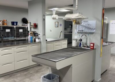 Mountain View Veterinary Clinic interior with table and equipment