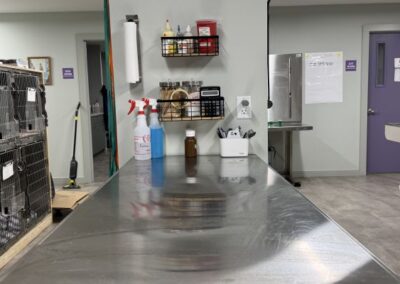 mountain view veterinary clinic interior with equipment