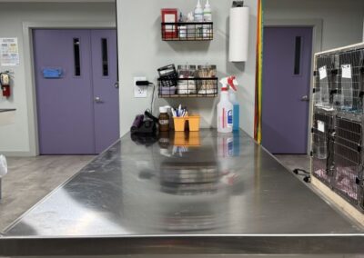 mountain view veterinary clinic interior with equipment