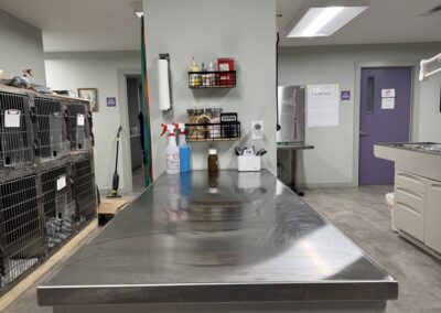 mountain view veterinary clinic interior