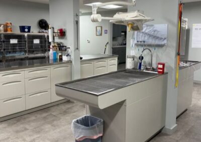mountain view veterinary clinic interior with equipment